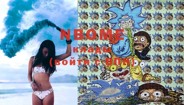 гидра Вязьма
