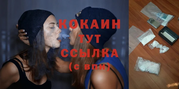 молекула духа Шарыпово