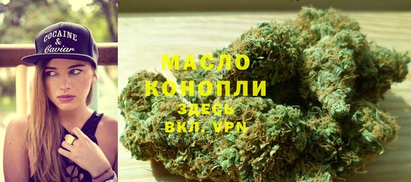 гидра Горнозаводск