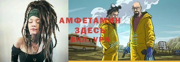 гидра Горнозаводск