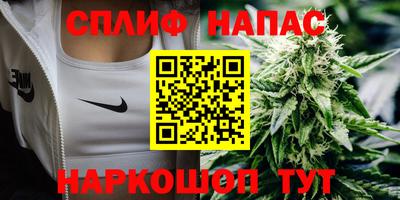 шишки Конаково