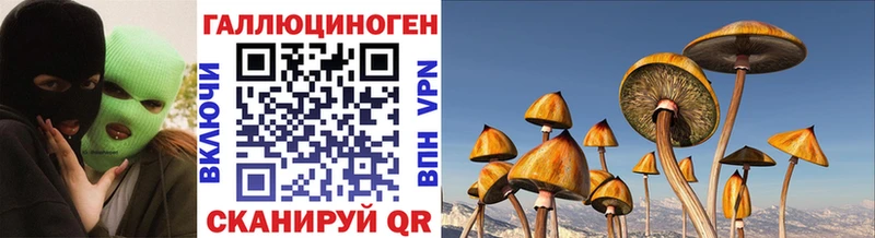 mega зеркало  Когалым  Галлюциногенные грибы мицелий  где можно купить  
