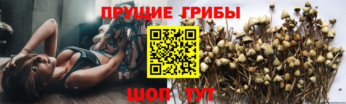 Когалым  Галлюциногенные грибы Cubensis  наркотики  Галлюциногенные грибы Cubensis  Вход с VPN 